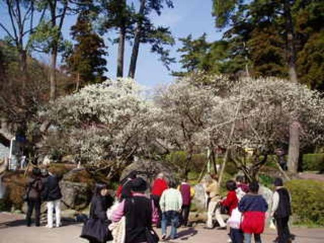 Minoya Hotel Atami  Bagian luar foto